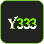 Y333 game